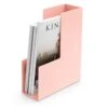 Blush Magazine File Box